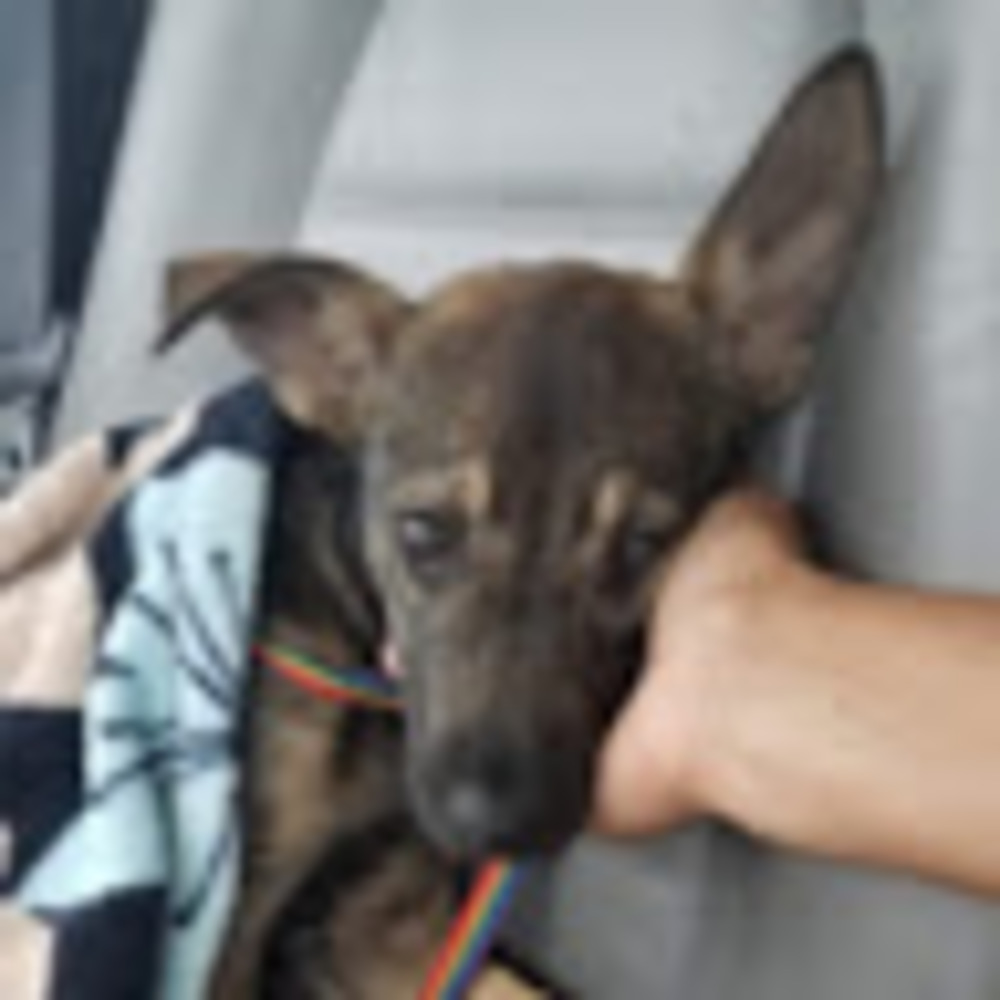 Meet your Posher, Graciela